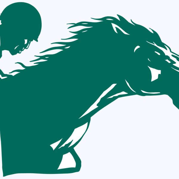 AR EQUEST 19 RC Thumbnail