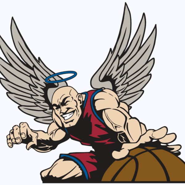 AR17 ANGEL BSKT 04 RQC Thumbnail