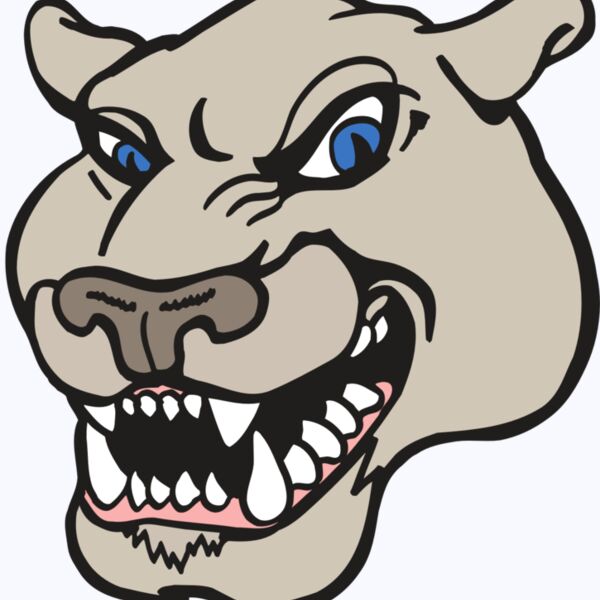 AR5 COUGAR 10 RQC Thumbnail