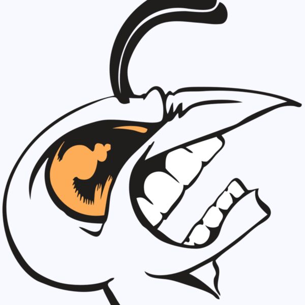 BAW BEE 19 RC Thumbnail