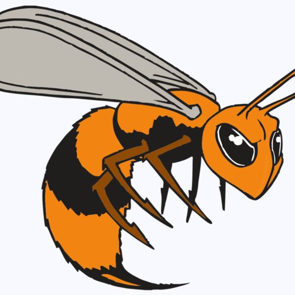 AR BEE 34 RC Thumbnail