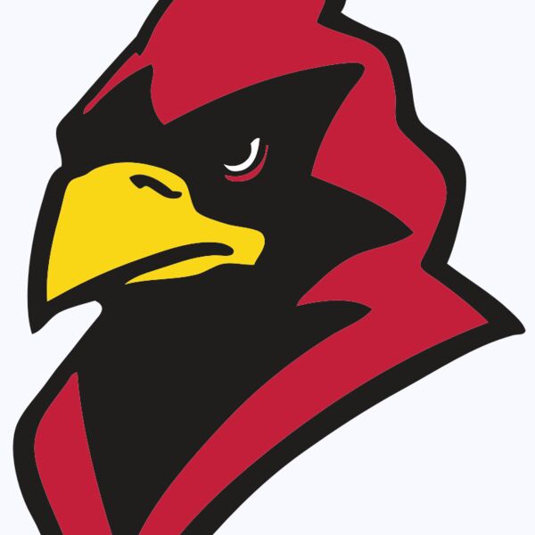 AR CARDINAL 22 RC Thumbnail