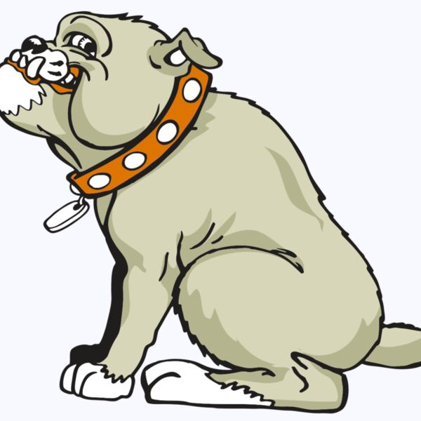 AR BDOG 26 RC Thumbnail