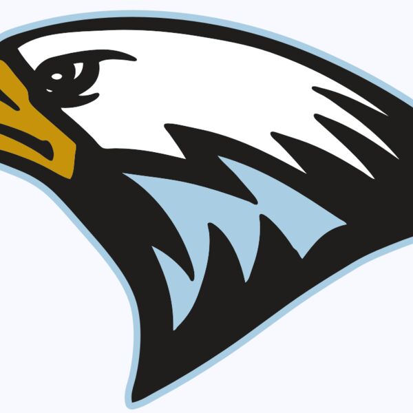 AR EAGLE 27 RC Thumbnail