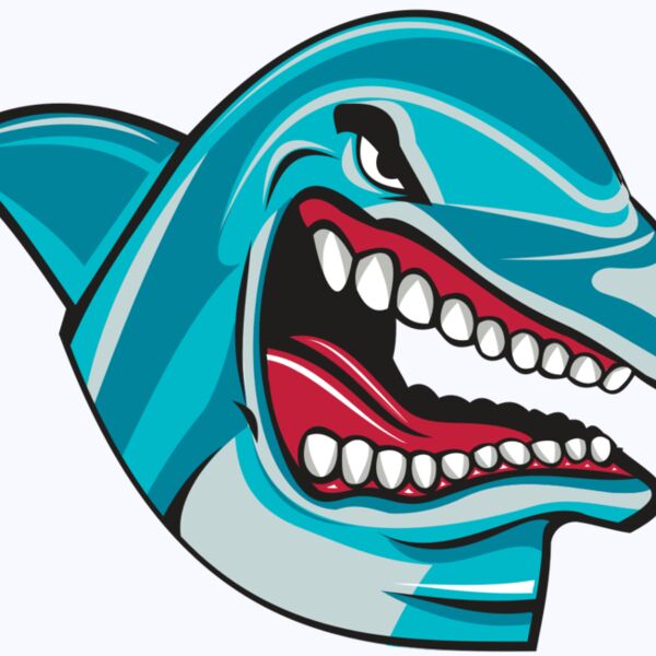 DOLPHIN HD0501 RQC Thumbnail