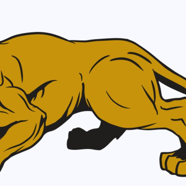 AR10 PAN COU 01 RQC Thumbnail