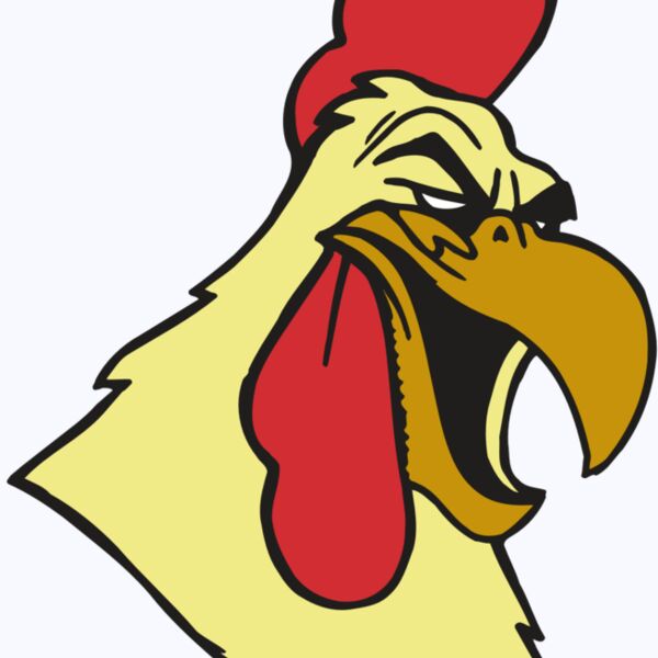 AR5 Gamecock 02 RQC Thumbnail