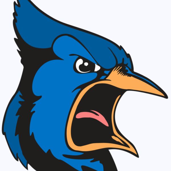 BAW BLUEJAY 03 RC Thumbnail