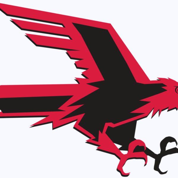 AR9 FALCON 02 RQC Thumbnail