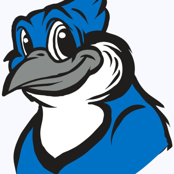 AR31 BLUEJAY 02 RQC Thumbnail