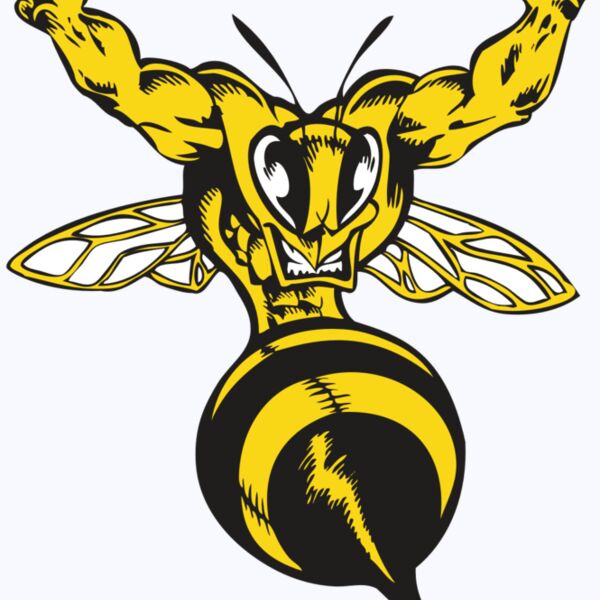 BAW BEE 04 RC Thumbnail