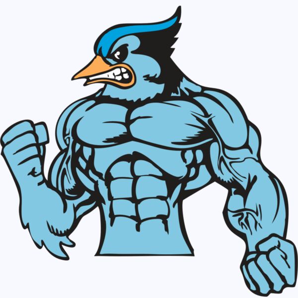 BAW BLUEJAY 16 RC Thumbnail