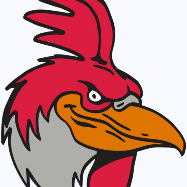 AR5 Gamecock 05 RQC Thumbnail