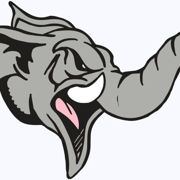 AR5 Elephant 03 RQC Thumbnail