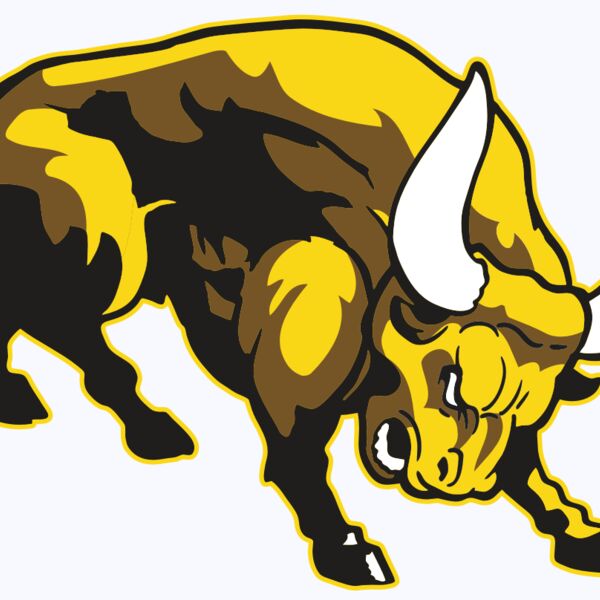 AR BULL 57 RC Thumbnail