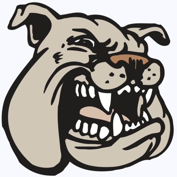 AR BDOG 38 RC Thumbnail