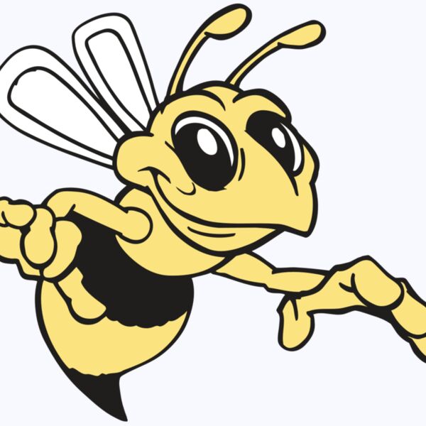 AR BEE 35 RC Thumbnail