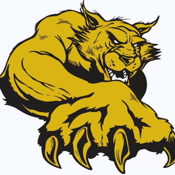 AR WILDCAT 26 RC Thumbnail