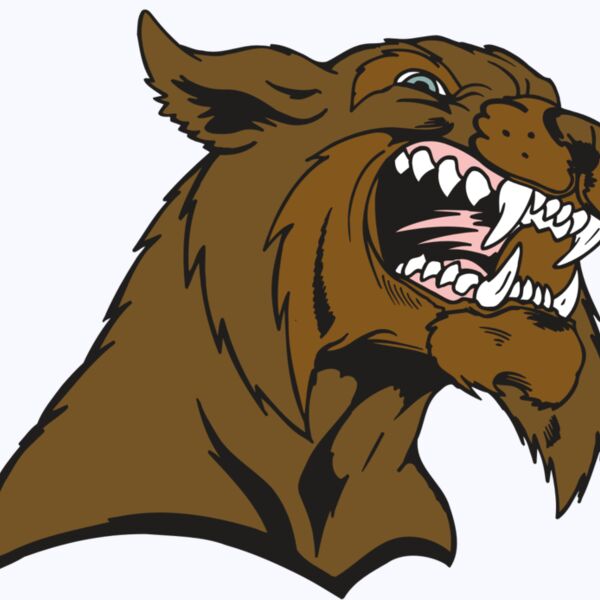 AR5 BOBCAT 21 RQC Thumbnail