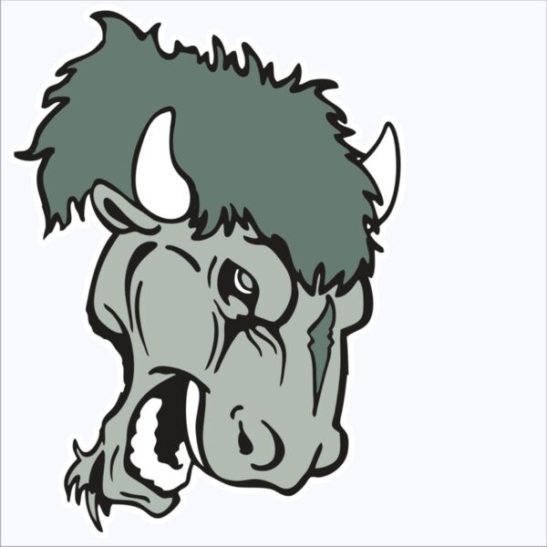 AR BUFFALO 19 RC Thumbnail