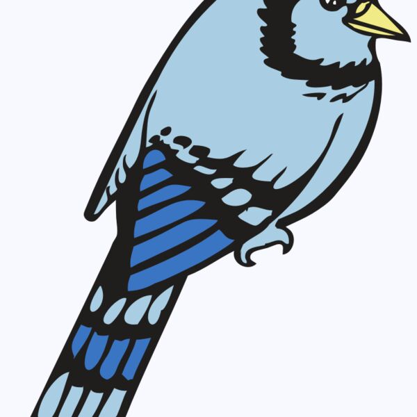 BAW BLUEJAY 08 RC Thumbnail