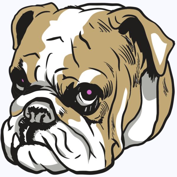 AR10 BDOG 01 C Thumbnail