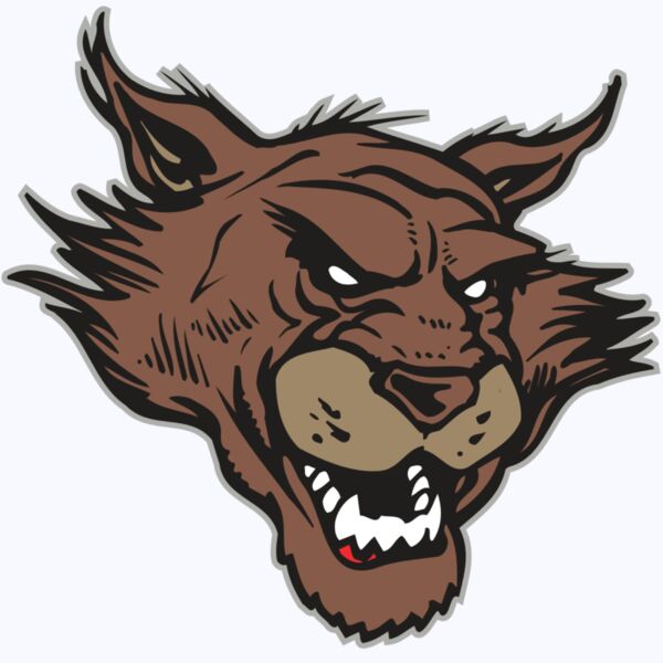 AR WILDCAT 11 RC Thumbnail