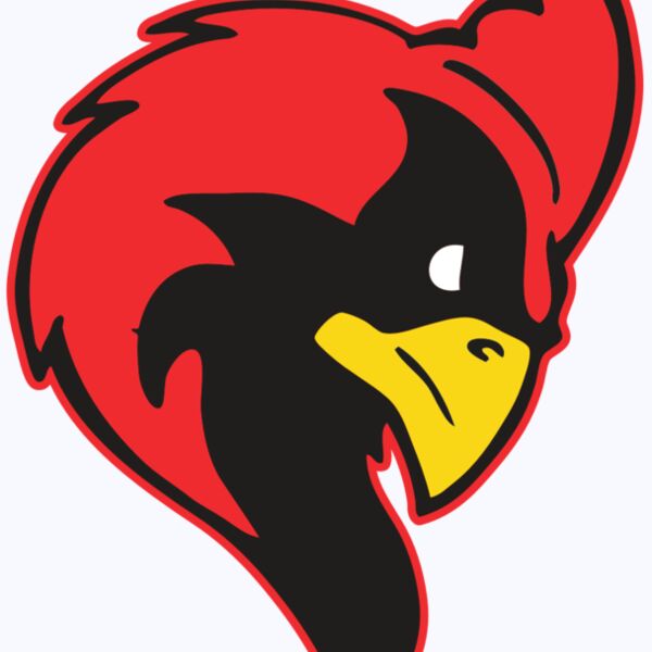 AR CARDINAL 24 RC Thumbnail