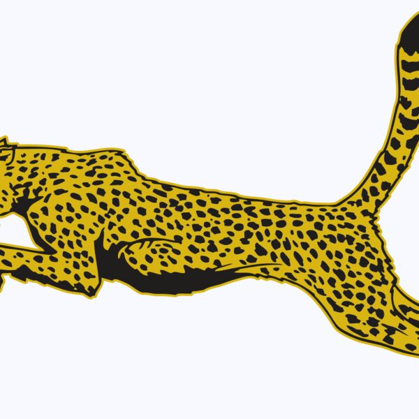 AR CHEETAH 10 RC Thumbnail