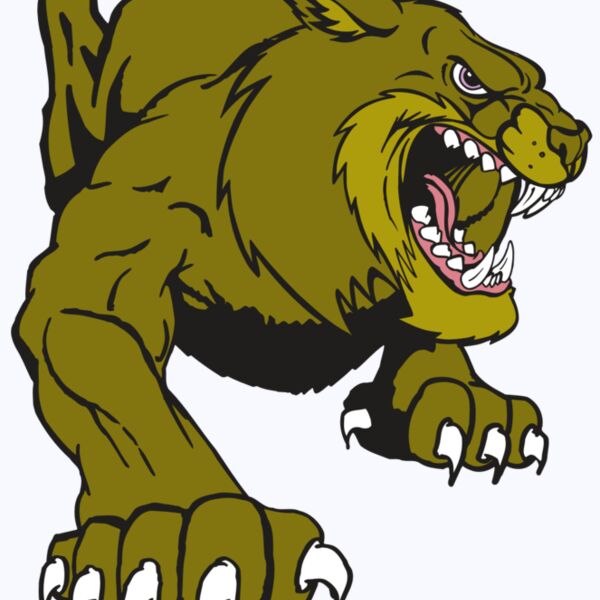 AR5 BOBCAT 24 RQC Thumbnail