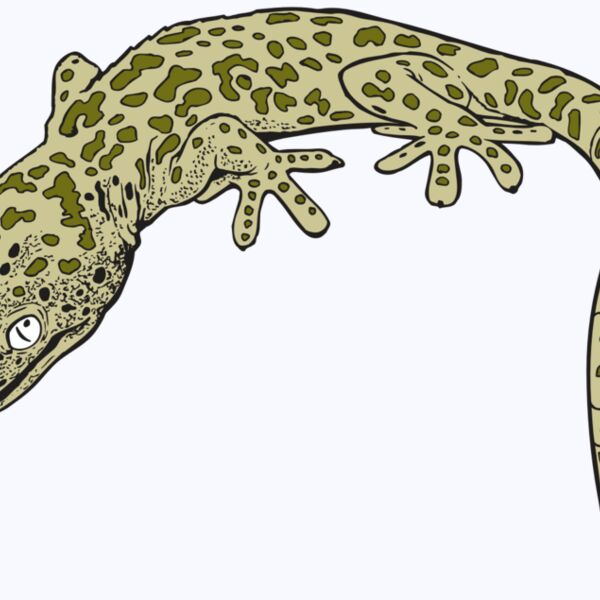 AR GEKO 19 RC Thumbnail