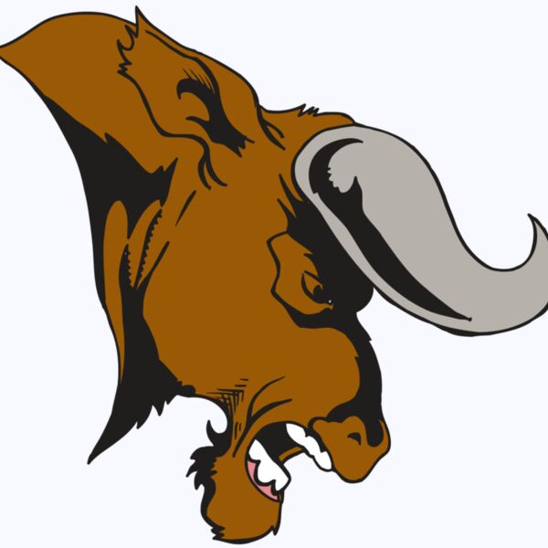 AR5 BULL 07 RQC Thumbnail