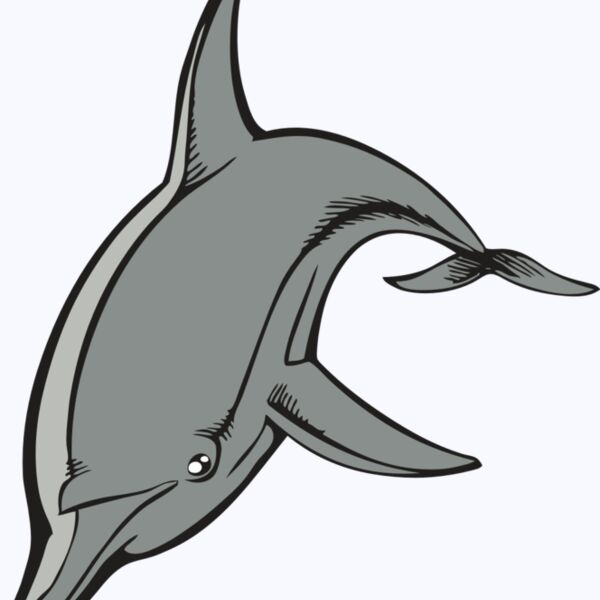 BAW DOLPHIN 03 RC Thumbnail