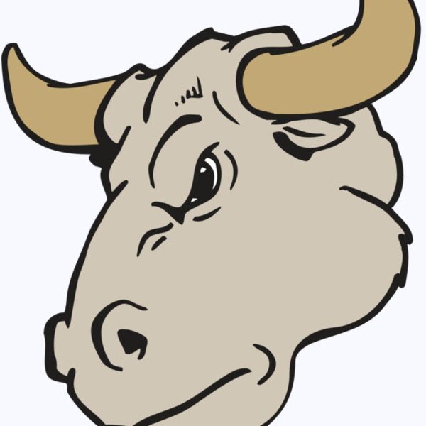 AR BULL 25 RC Thumbnail