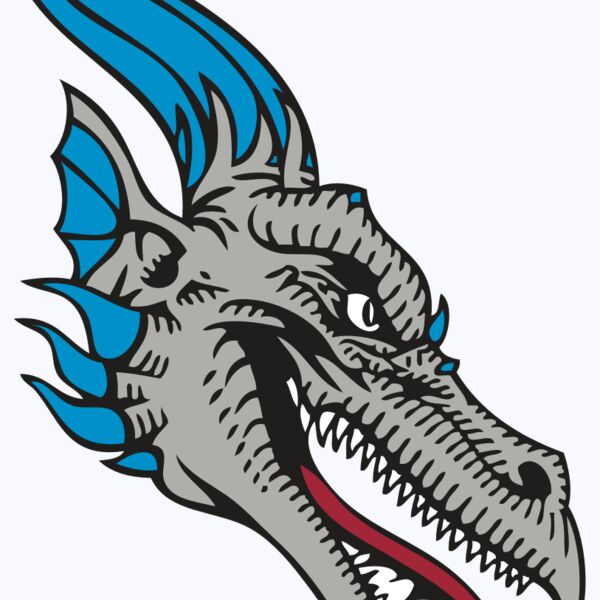 BAW DRAGON 07 RC Thumbnail