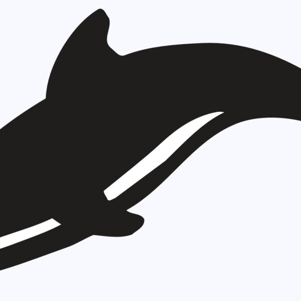 AR DOLPIN 16 RC Thumbnail