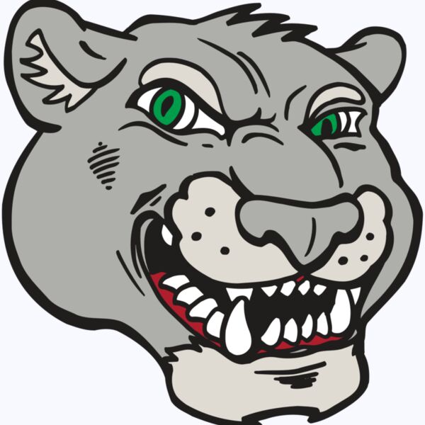 AR5 Cougar 06 RQC Thumbnail