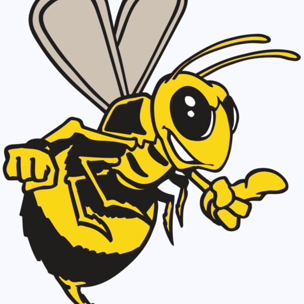 AR BEE 20 RC Thumbnail