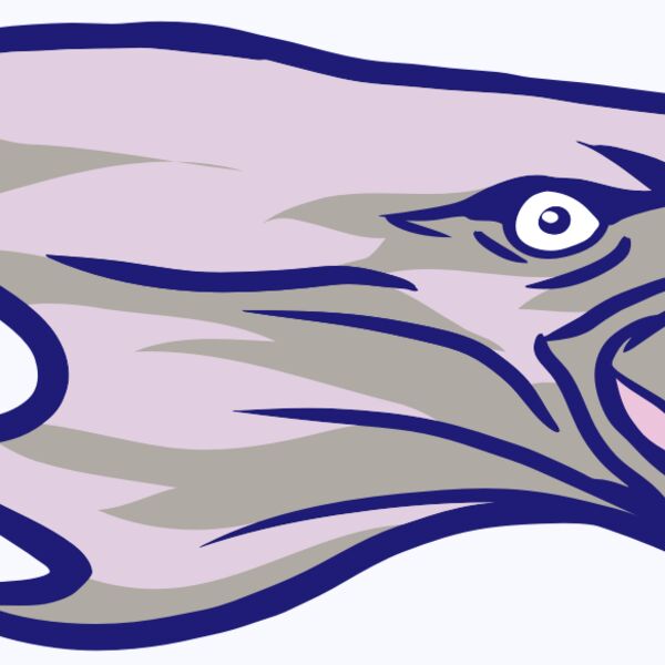 AR15 EAGLE 01 RQC Thumbnail