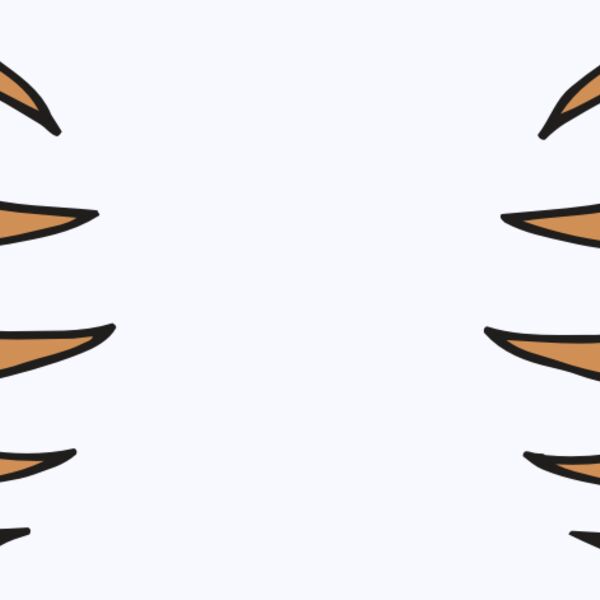 AR BEAR 05 RC Thumbnail