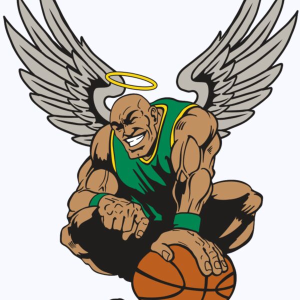 AR17 ANGEL BSKT 03 RQC Thumbnail