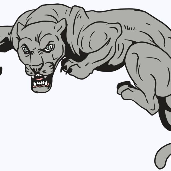 AR10 PANTHER 02 RQC Thumbnail