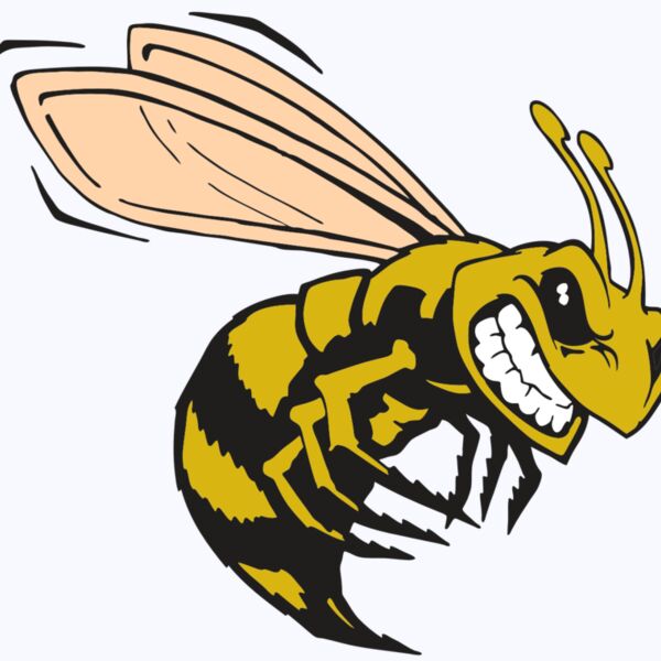 AR BEE 50 RC Thumbnail