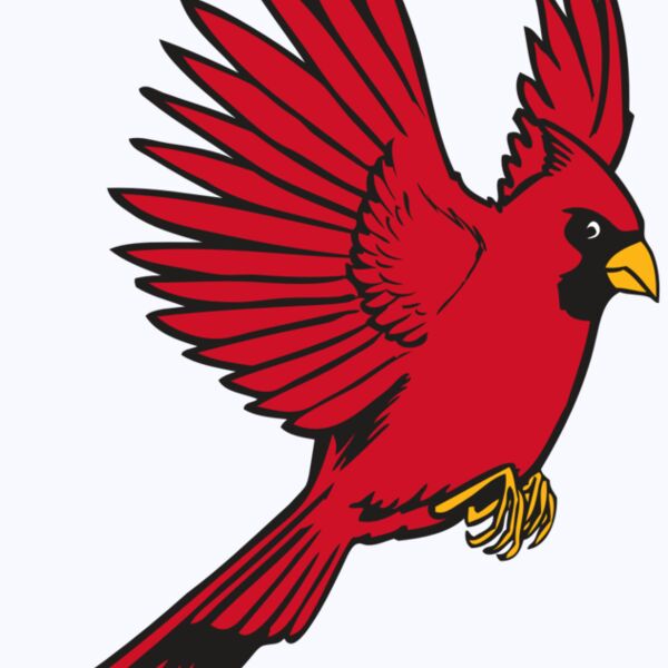 BAW CARDINAL 19 RC Thumbnail