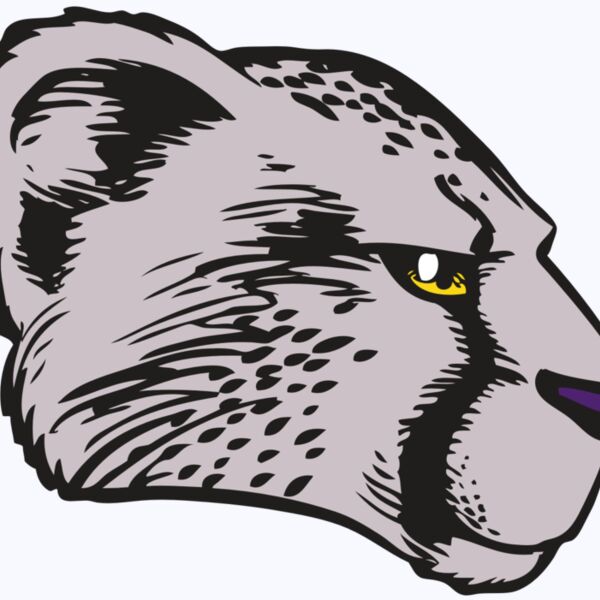 BAW CHEETAH 20 RC Thumbnail