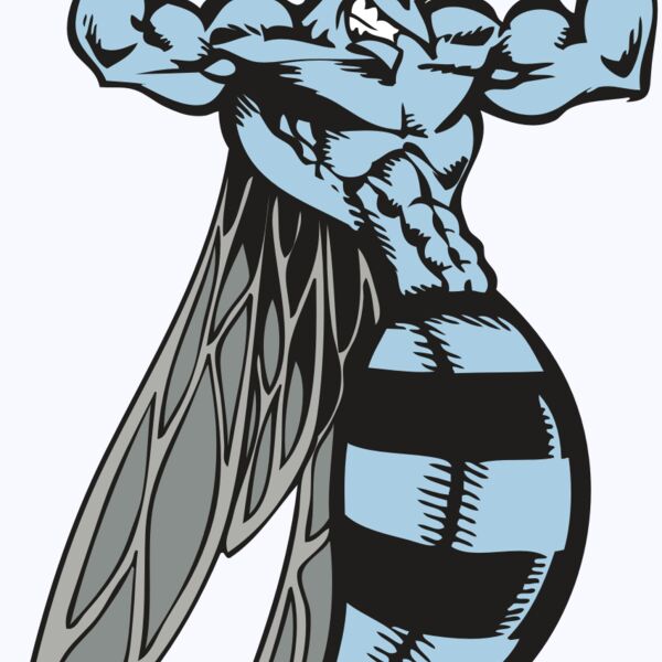 BAW BEE 08 RC Thumbnail