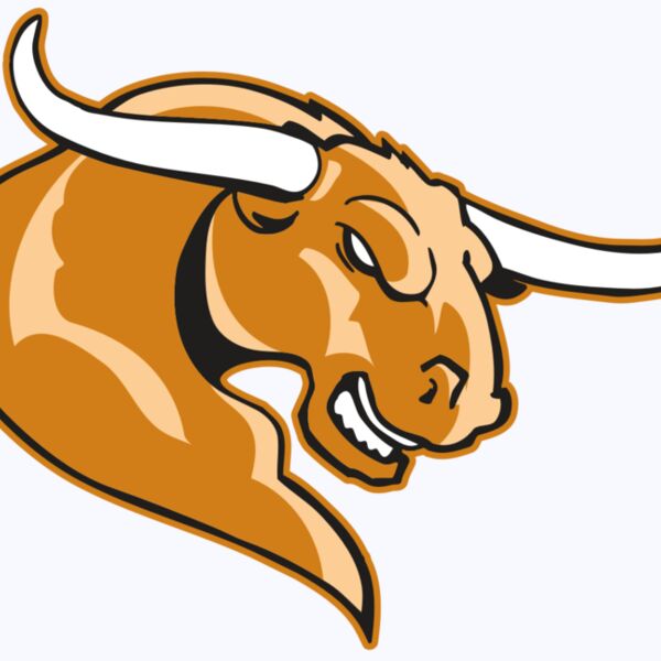 AR BULL 14 RC Thumbnail