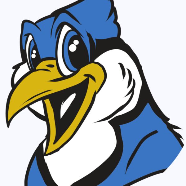 AR31 BLUEJAY 01 RQC Thumbnail