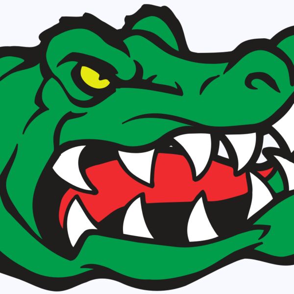 AR GATOR 19 RQC Thumbnail