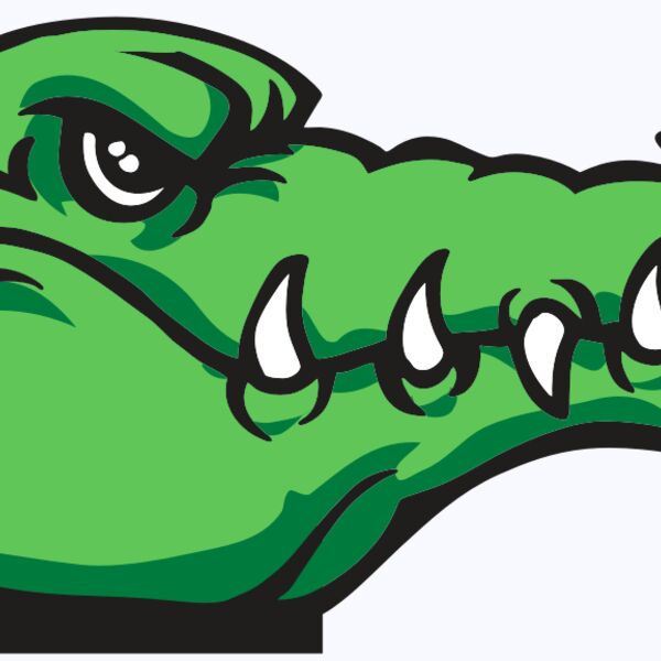 AR GATOR 15 RQC Thumbnail